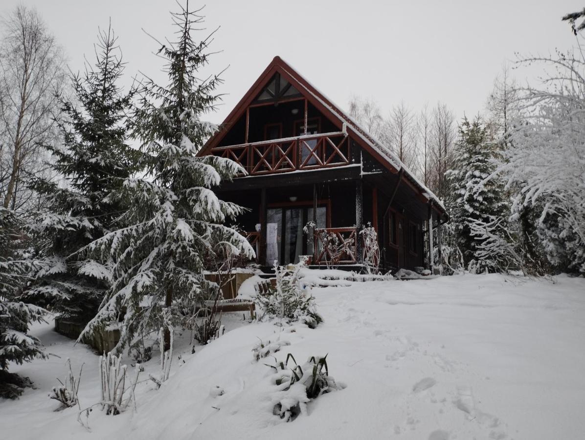 Garden House Nad Jeziorem Szelment Przejma Wielka Exteriör bild